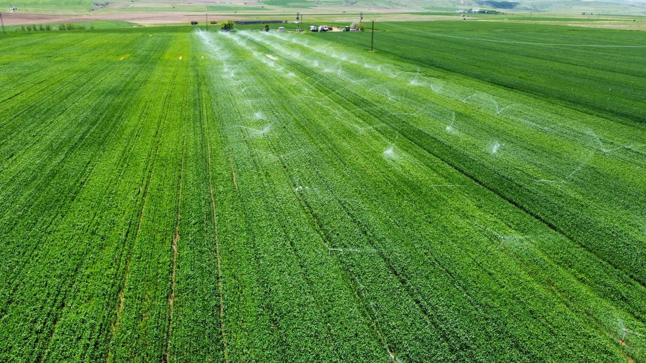 Aerial shot of a vibrant green field using irrigation for farming.